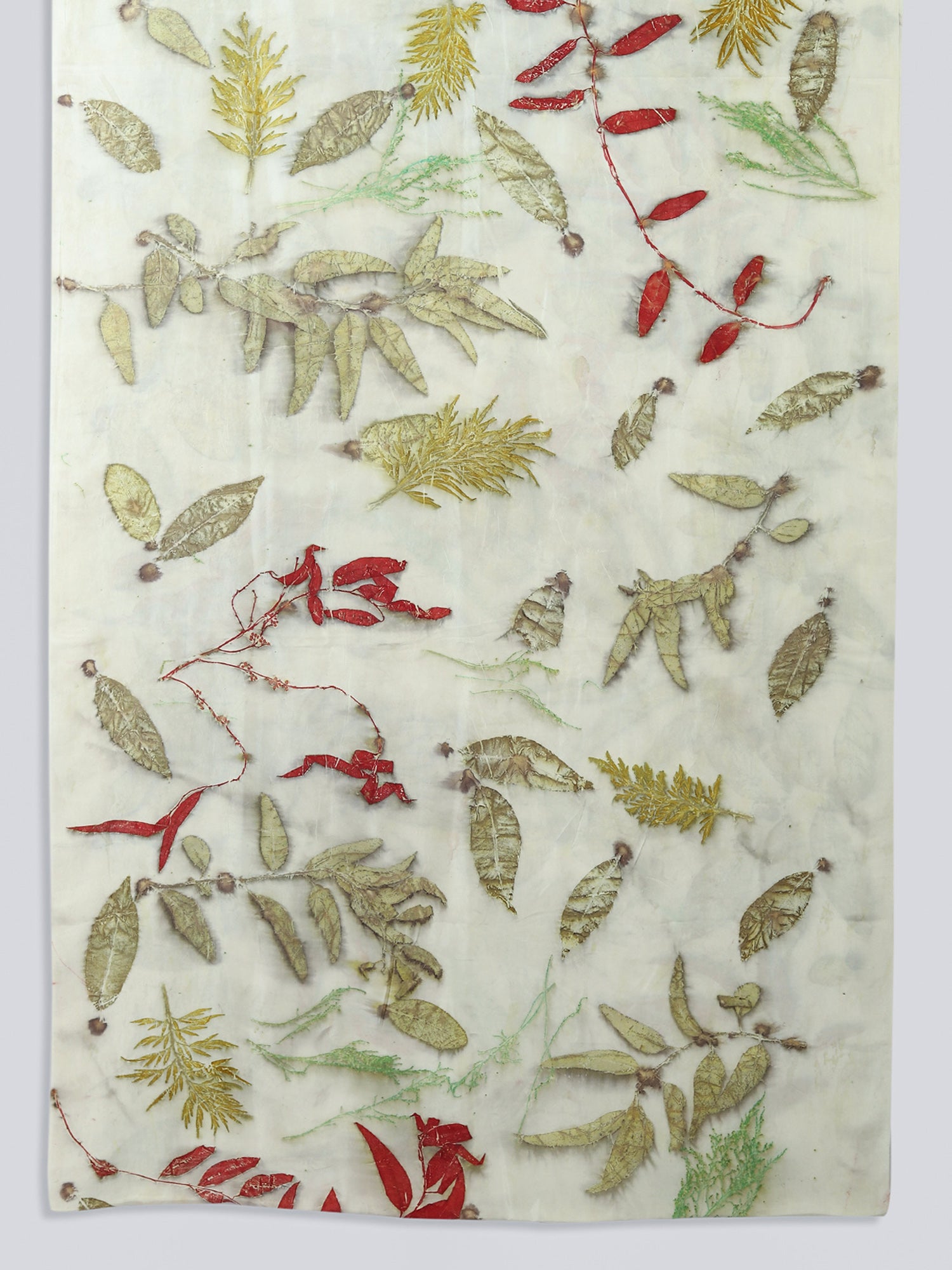 Saree ecoprinted with shrubs eucalyptus & jamun leaves