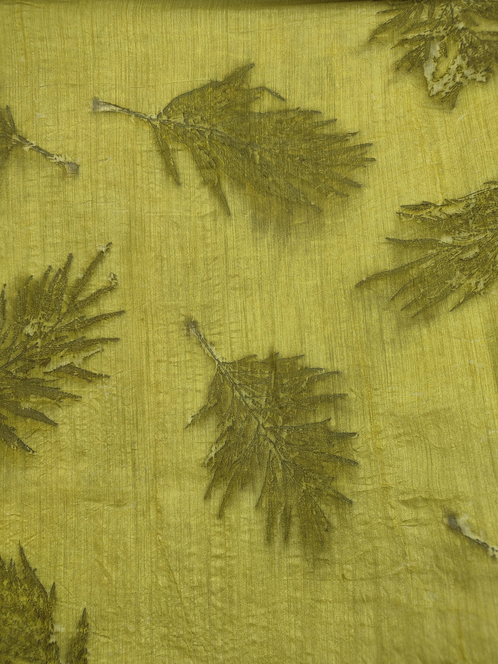 Upper view of Ecoprinted rose leaves on Muga silk saree kokikar
