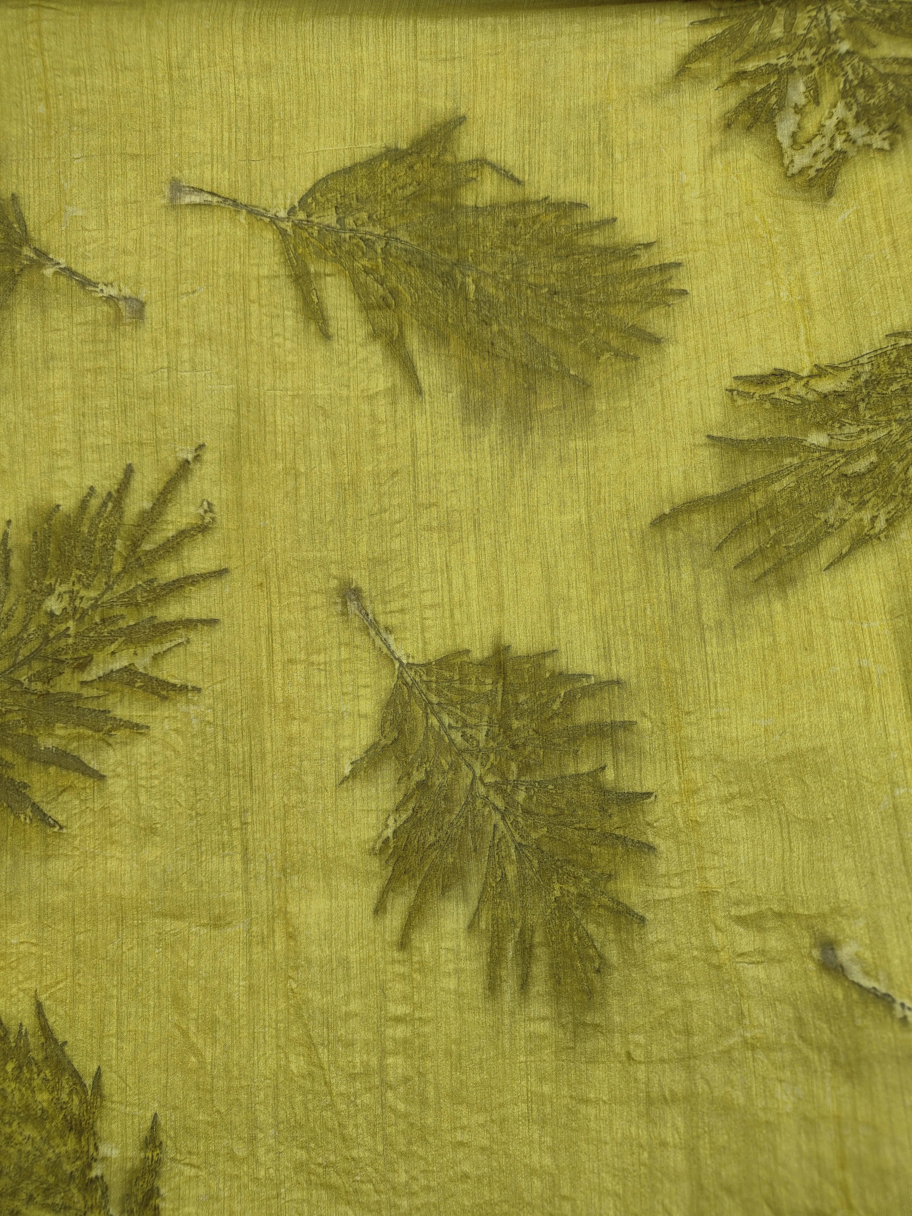 Upper view of Ecoprinted rose leaves on Muga silk saree kokikar