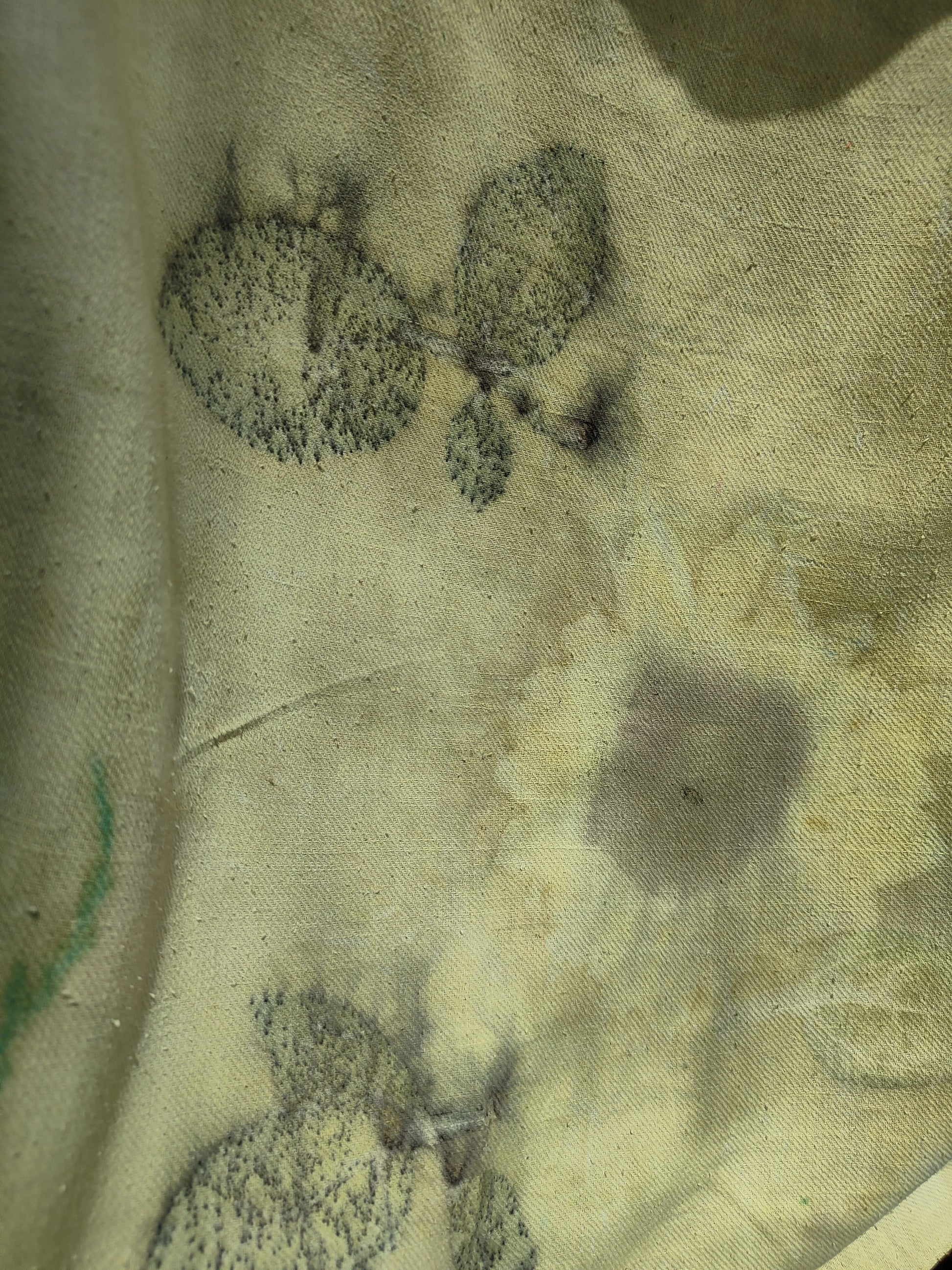 Ecoprinted Ahimsa (Eri) Silk Wrap Scarf