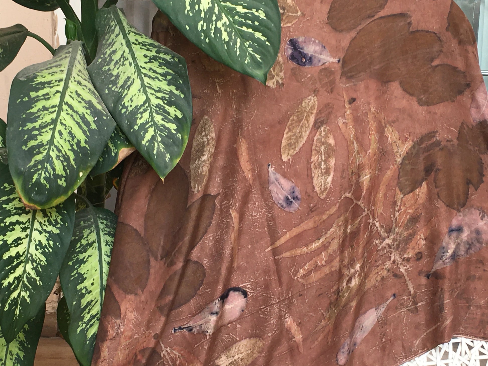 Close-up of a plant with green leaves next to a brown ecoprinted pure silk scarf with leaf pattern