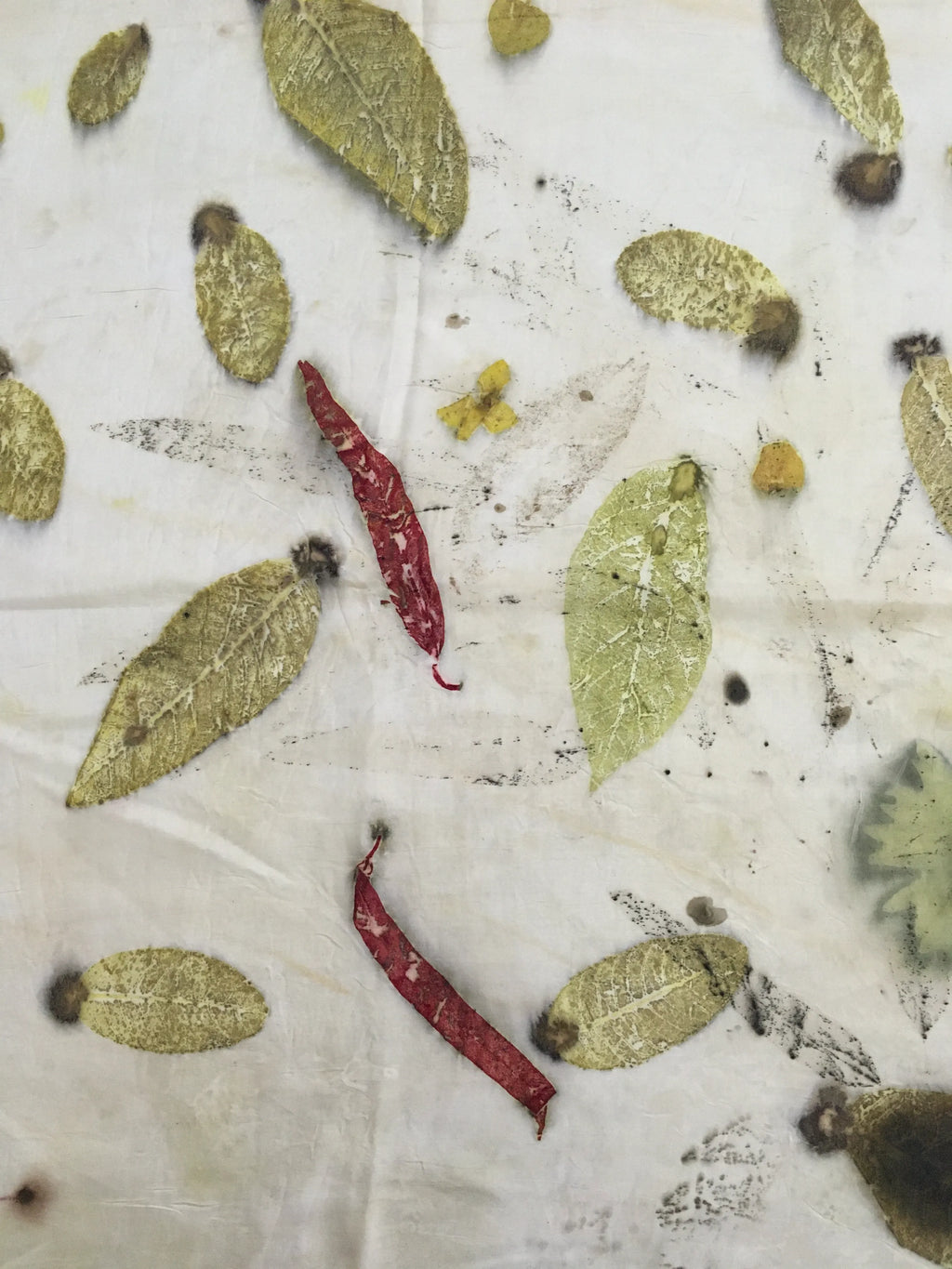 Eco printed pure silk scarf with red madder leaf impressions and natural botanical patterns on white silk.