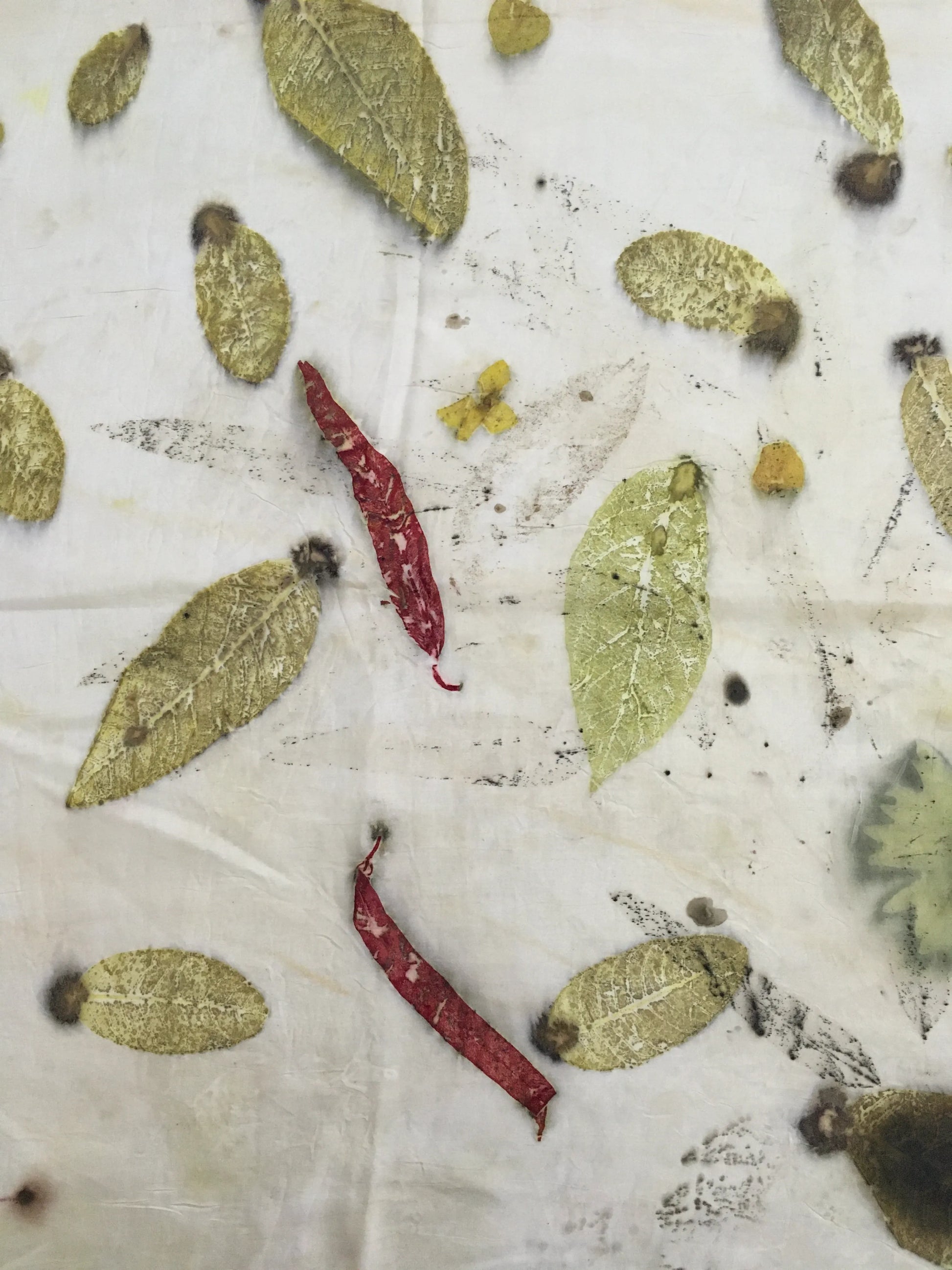 Eco printed pure silk scarf with red madder leaf impressions and natural botanical patterns on white silk.
