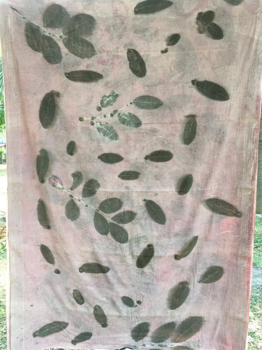 mulmul cotton ecoprinted saree with leaf patterns on a plain background
