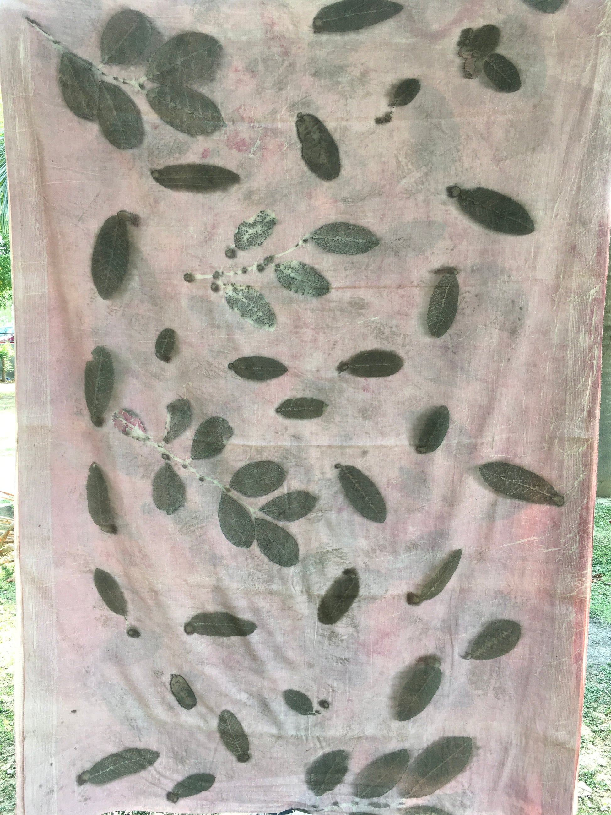 mulmul cotton ecoprinted saree with leaf patterns on a plain background