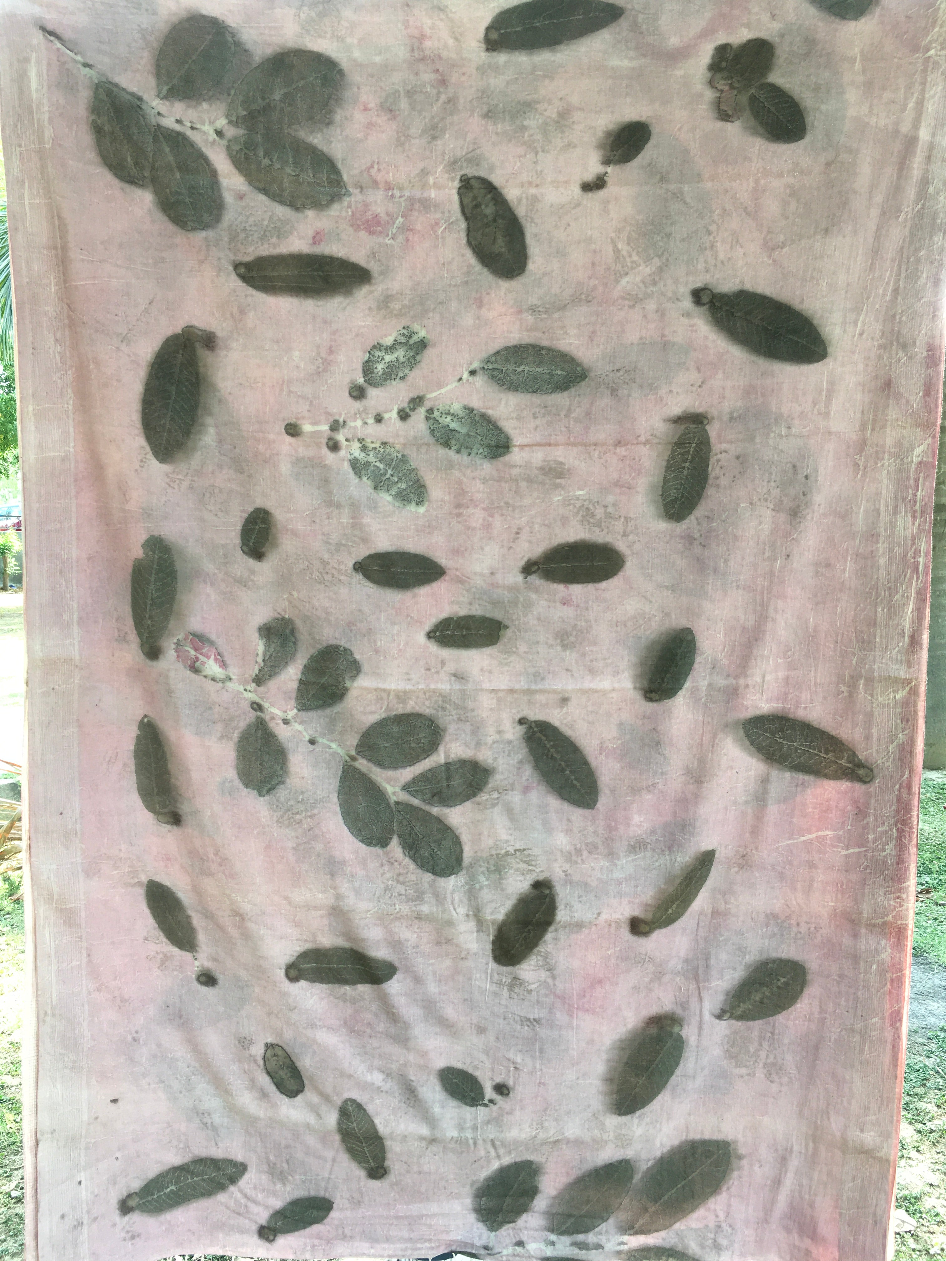 mulmul cotton ecoprinted saree with leaf patterns on a plain background