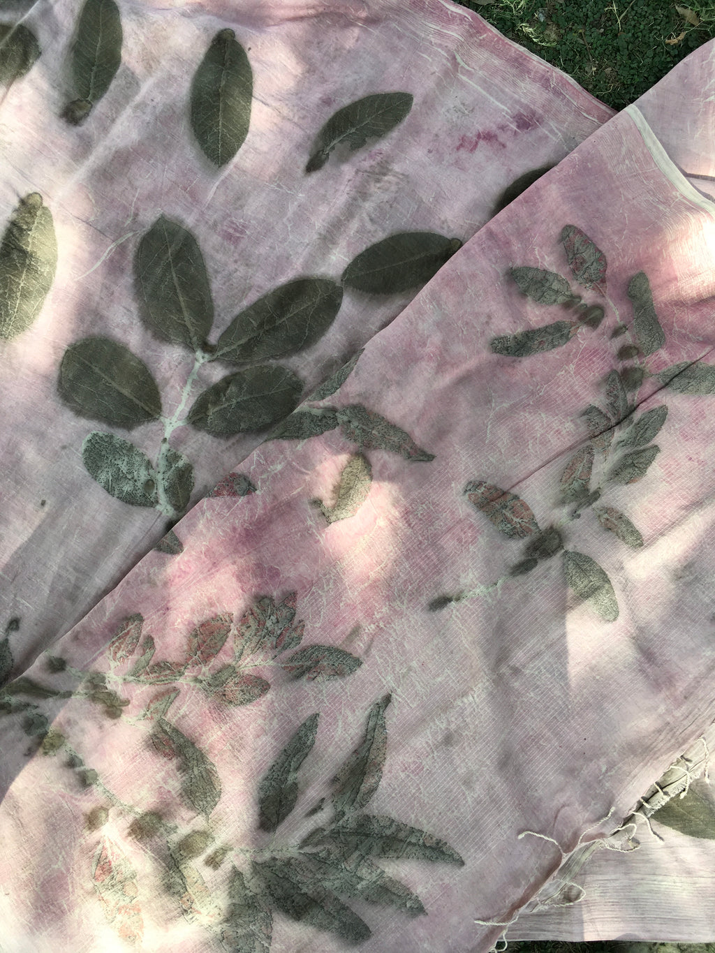 Green leaves on a translucent pink mulmul cotton ecoprinted saree with a natural background