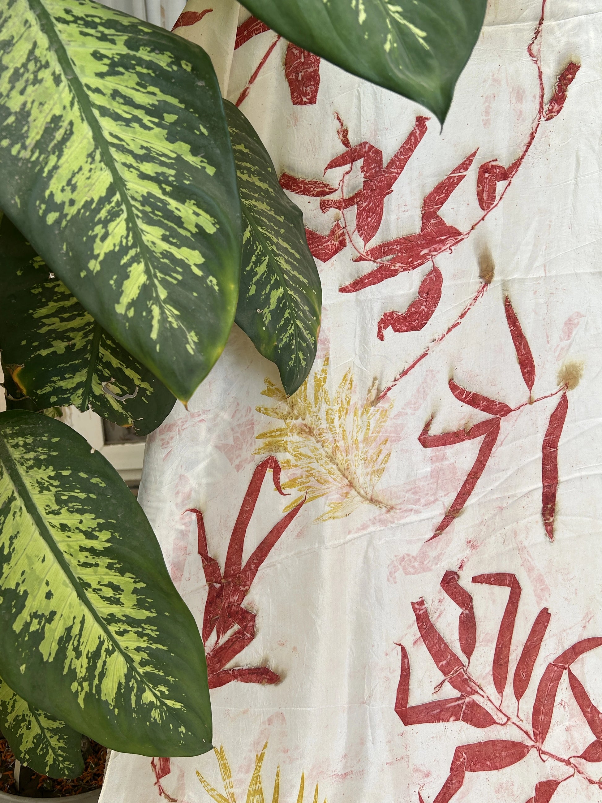 Close-up of green leaves with a textured red and white Ecoprinted pure silk scarf